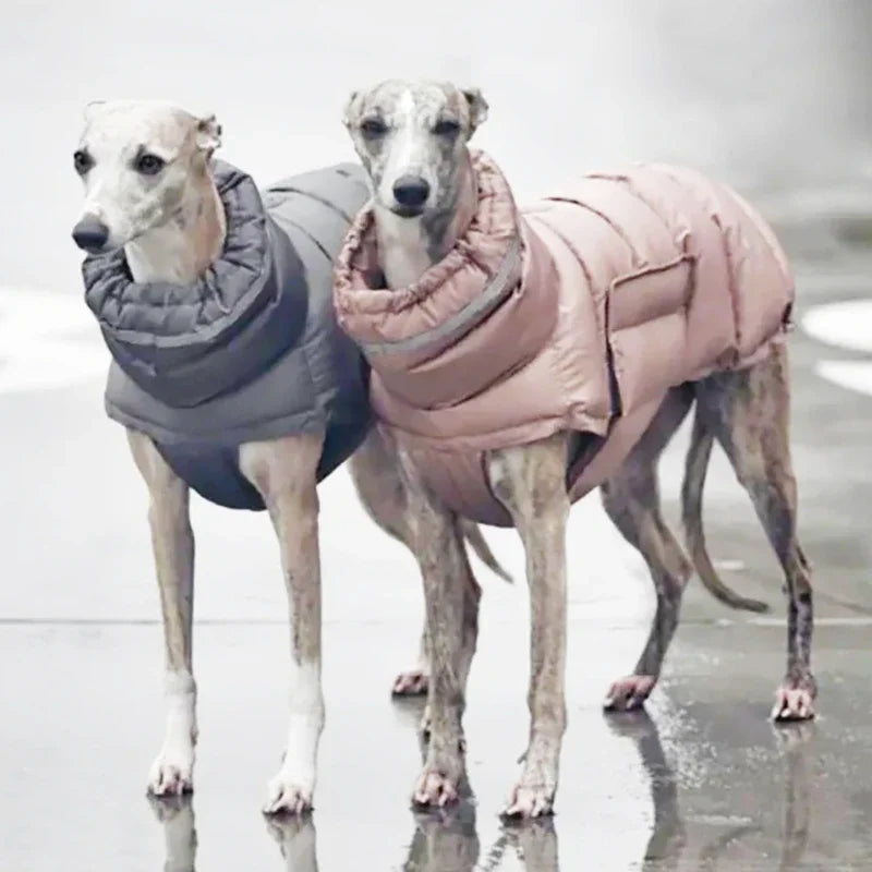Hundjacka