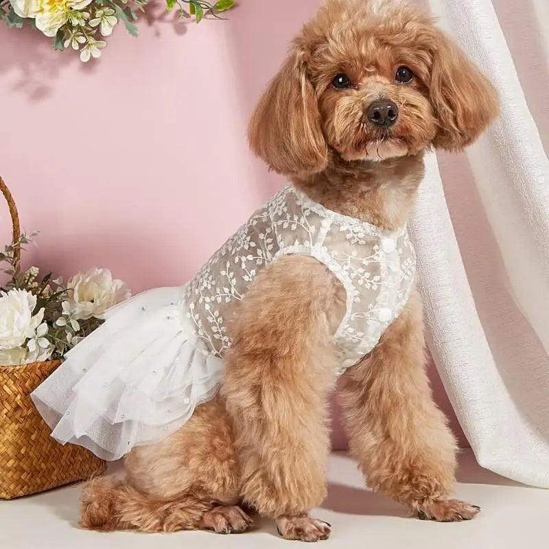 Klänning med broderier för hund