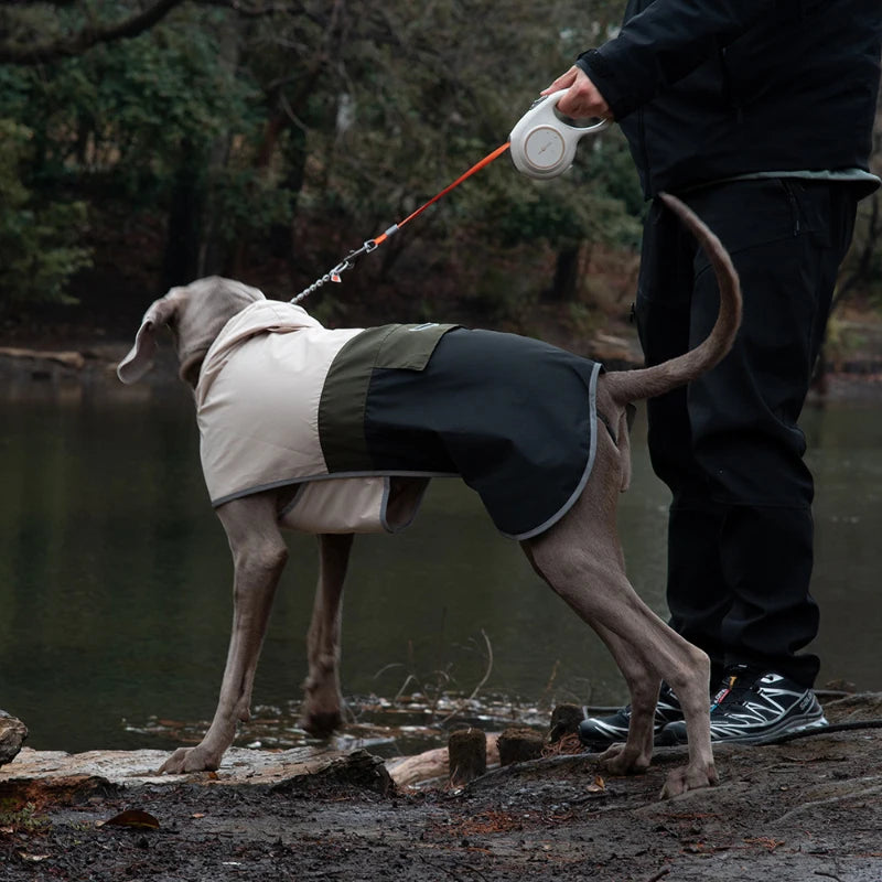 Regnjacka för hund
