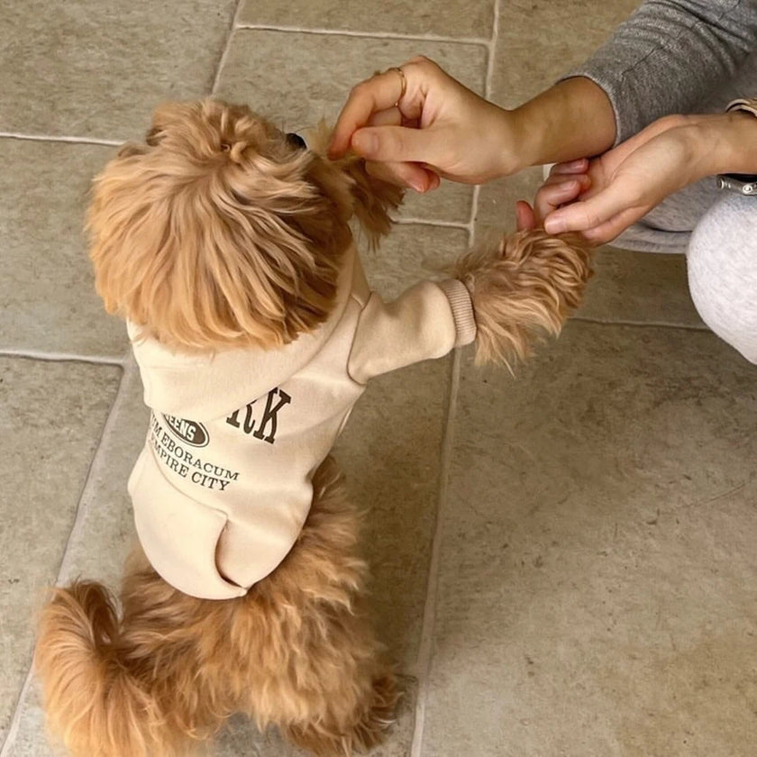 Hoodie Sweatshirt med huva för hund