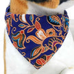 Hundscarf