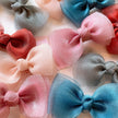 Rosett på spänne 2 pack för hund