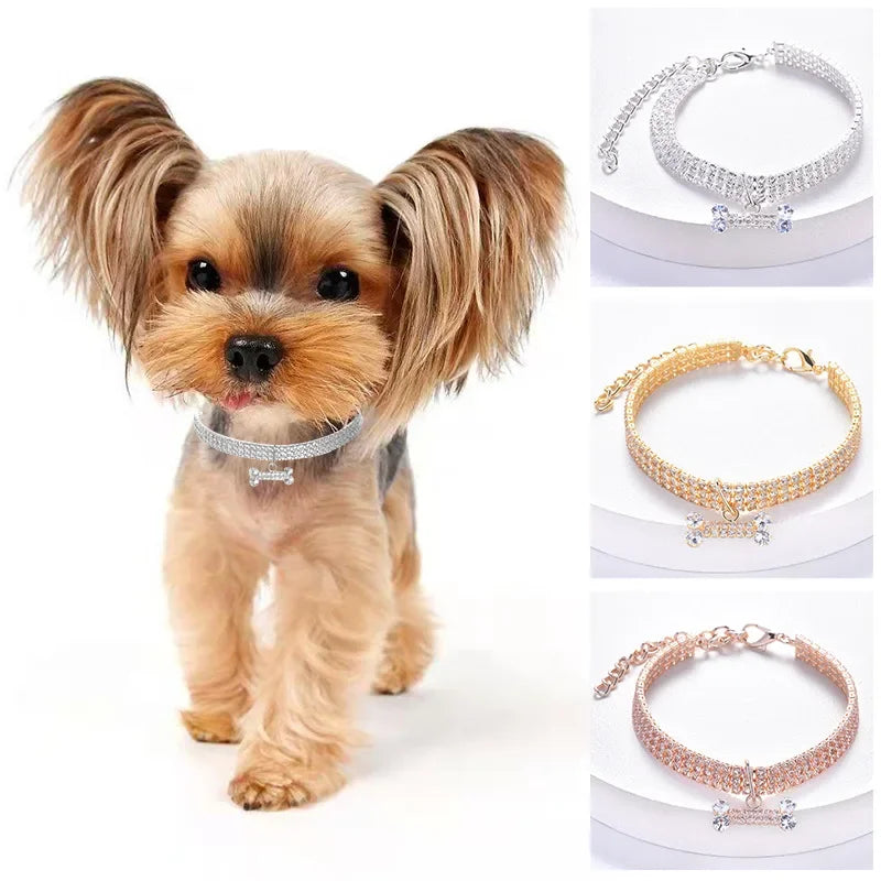 Hundhalsband i strass