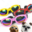 Goggles för hund