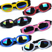 Goggles för hund