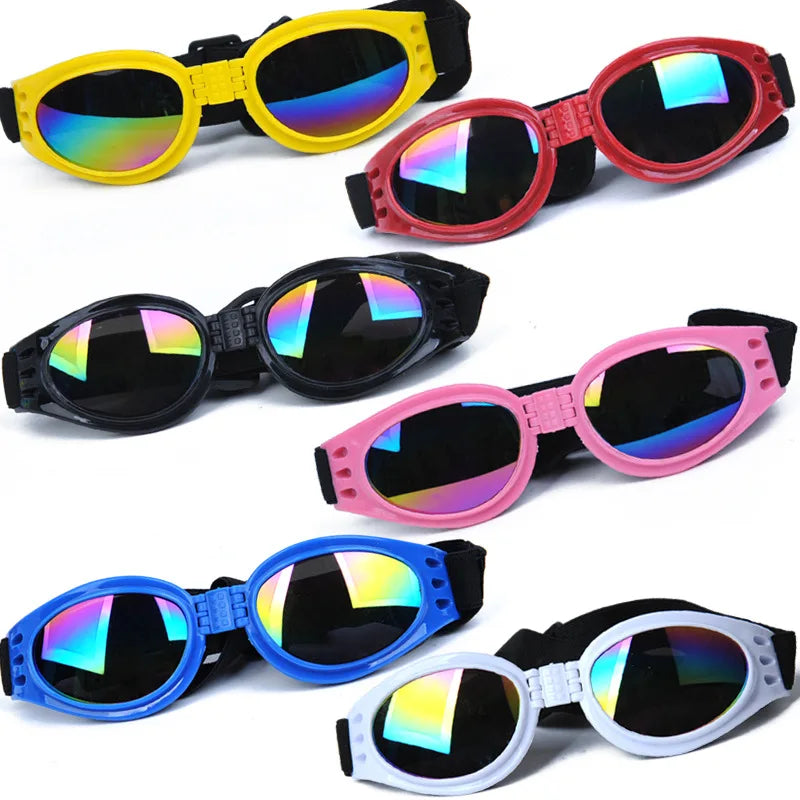 Goggles för hund