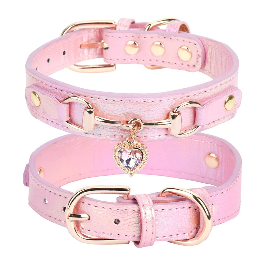 Hundhalsband med smycke