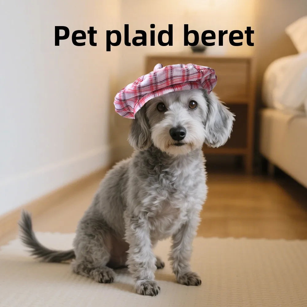 Basker för hund