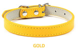 Hundhalsband
