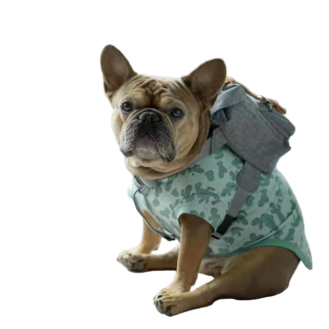 Ryggsäck för hund