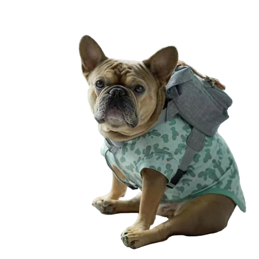 Ryggsäck för hund