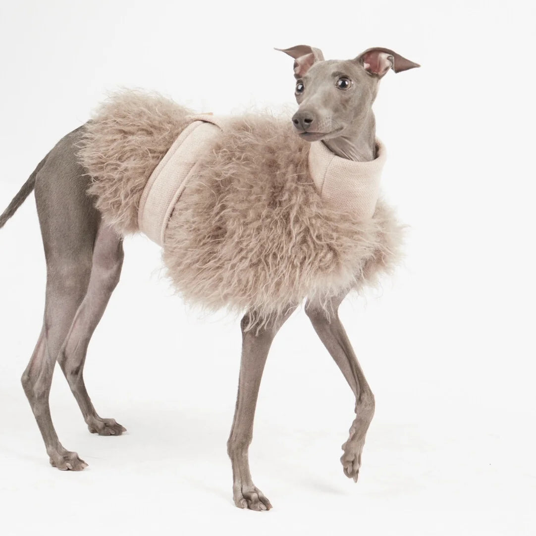 Pälströja för hund