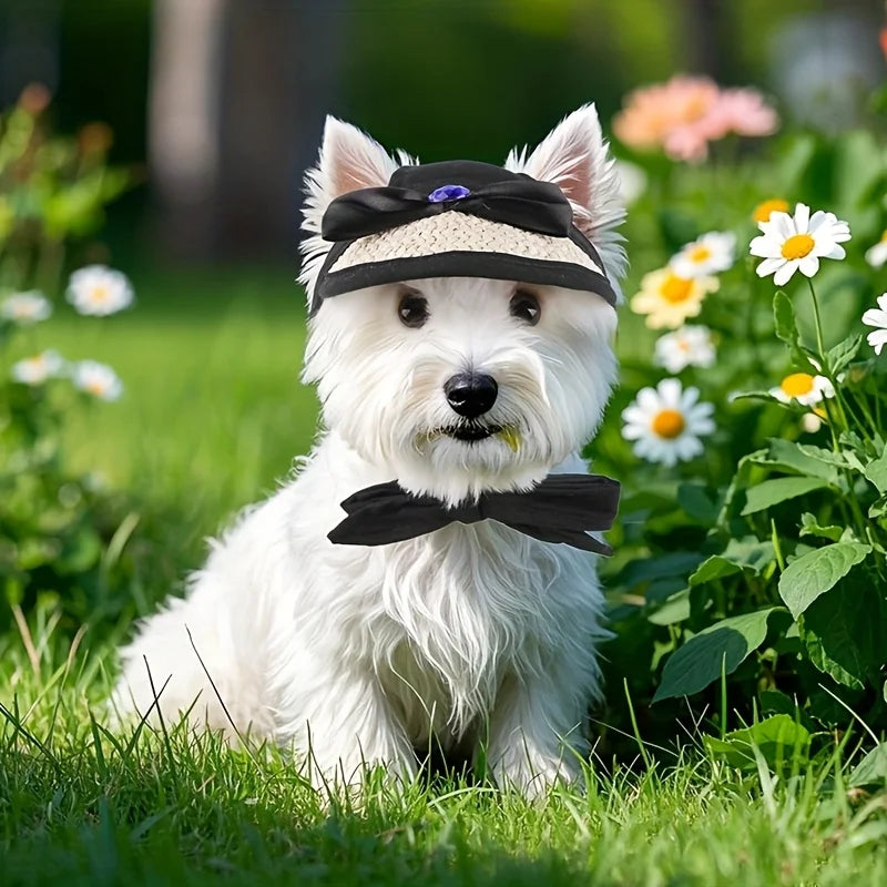 Solhatt för hund