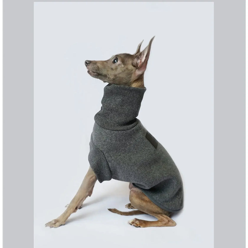Polotröja för hund