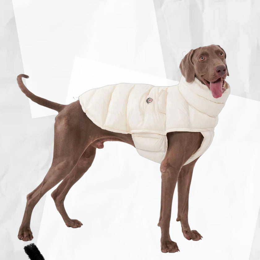 Täckväst för hund