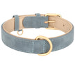 Hundhalsband