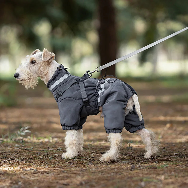 Overall med sele för hund