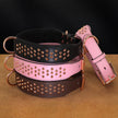 Hundhalsband med nitar