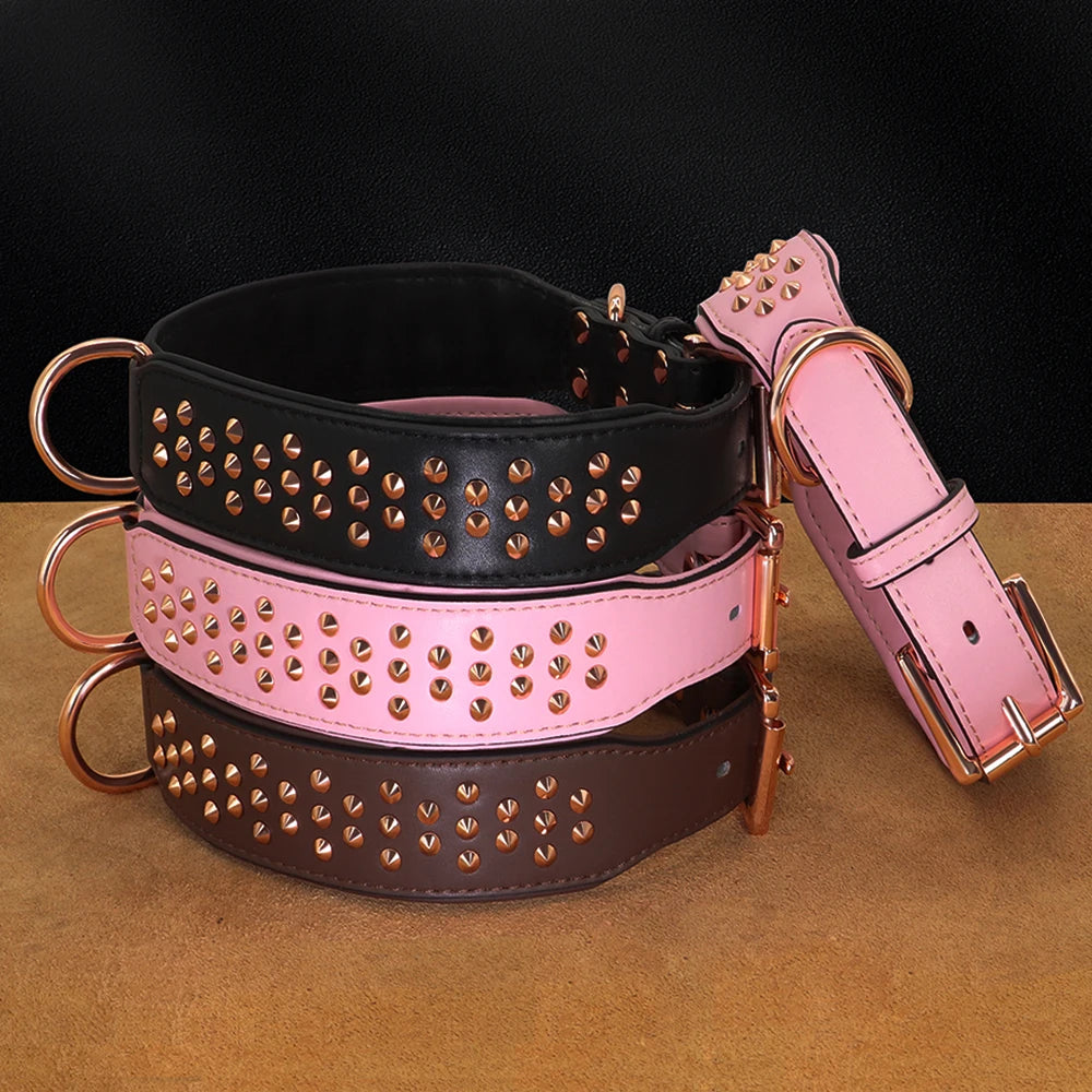 Hundhalsband med nitar