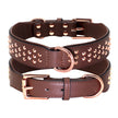 Hundhalsband med nitar