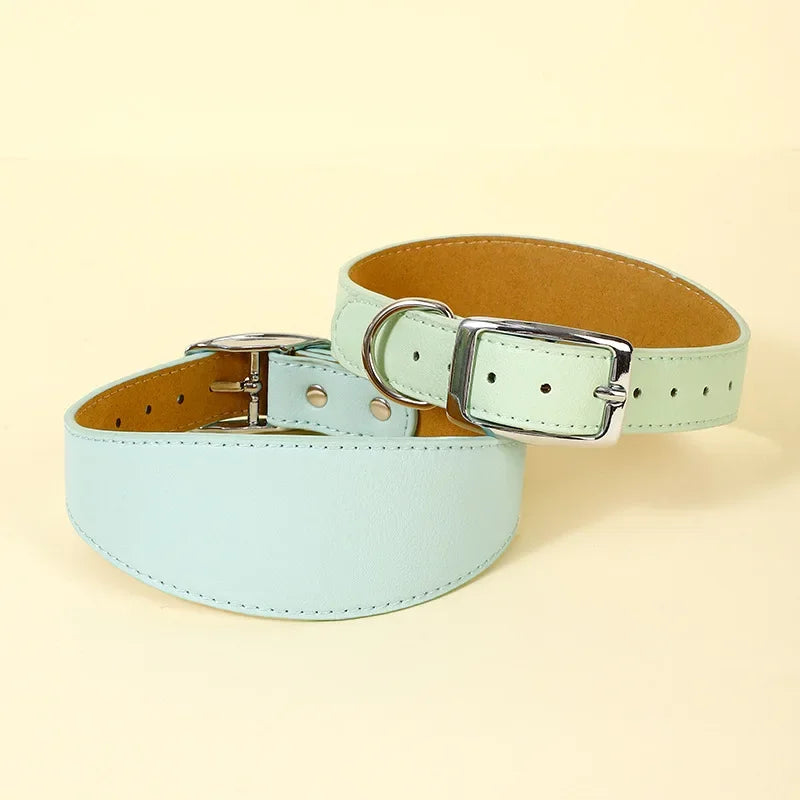 Brett hundhalsband