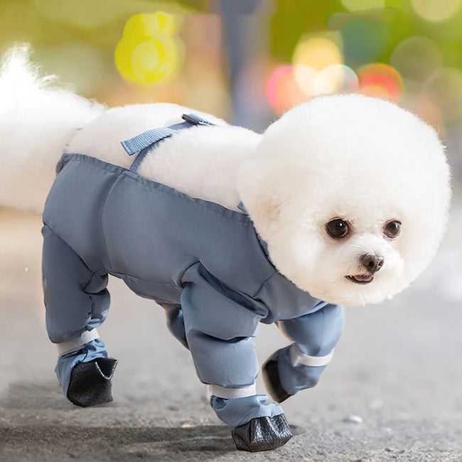 Överdragsbyxor för hund