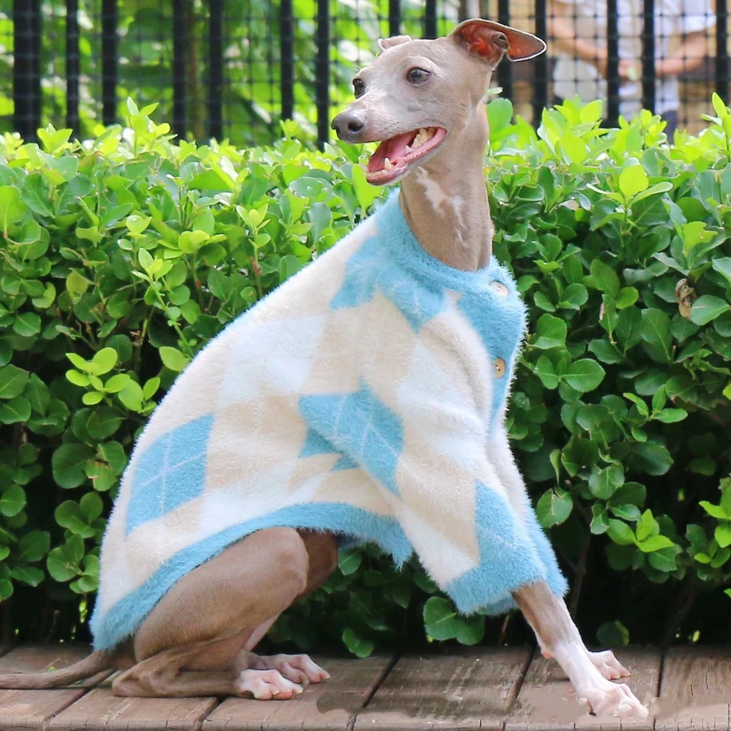 Stickad kofta för hund