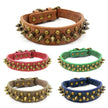 Hundhalsband med nitar