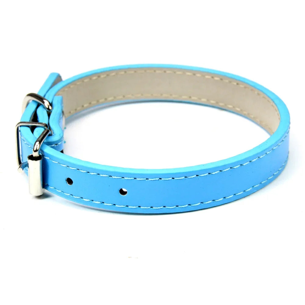 Hundhalsband