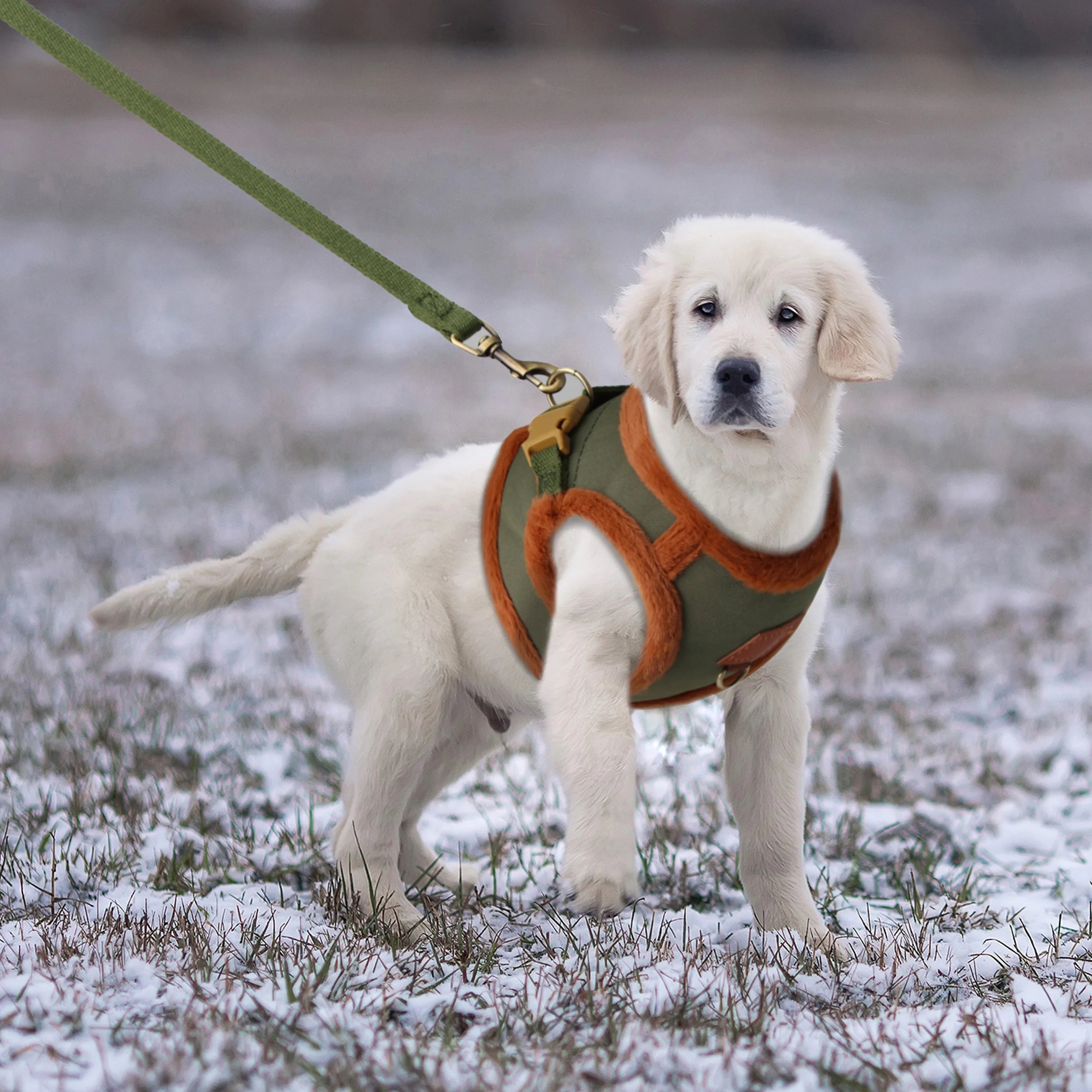 Pälsklädd sele för hund