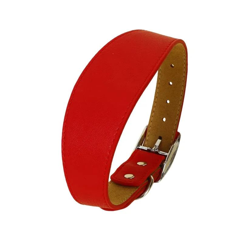 Brett hundhalsband