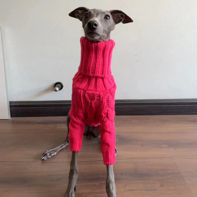 Polotröja för hund