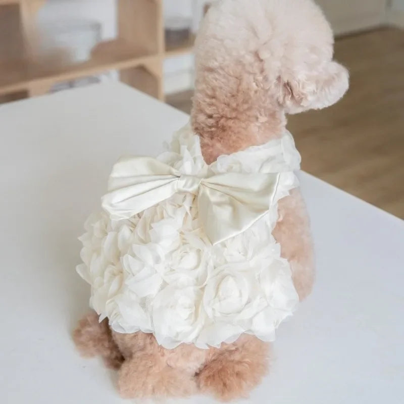 Klänning för hund