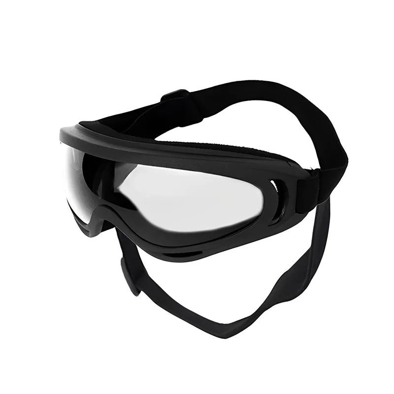 Goggles för hund