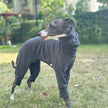 Overall Onesie med hög krage för hund