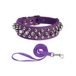 Hundhalsband med spikes