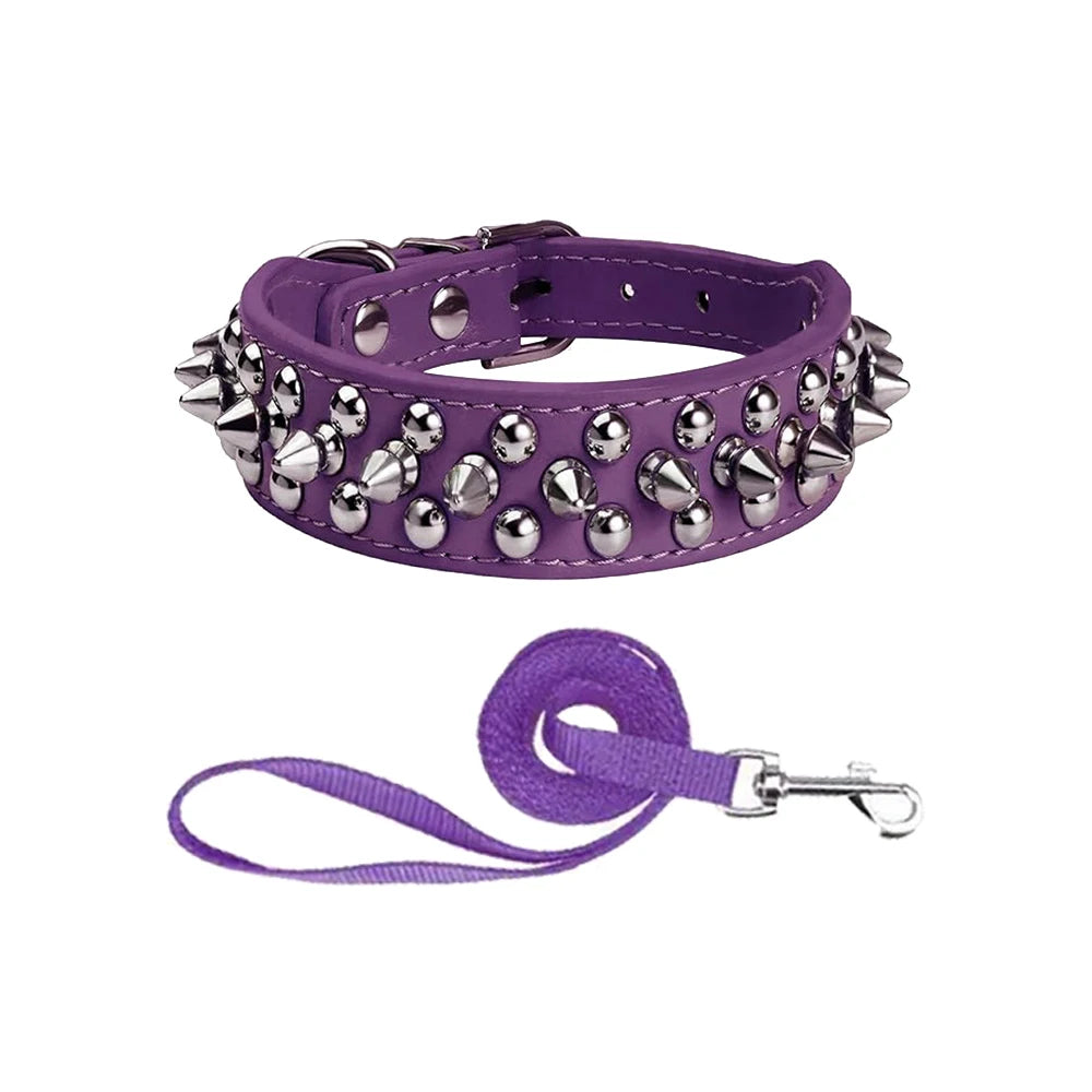 Hundhalsband med spikes