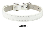 Hundhalsband