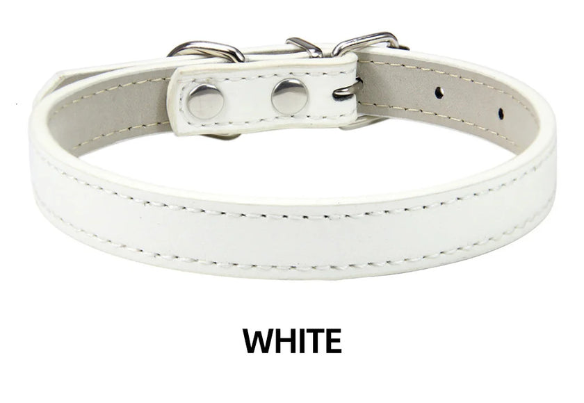 Hundhalsband
