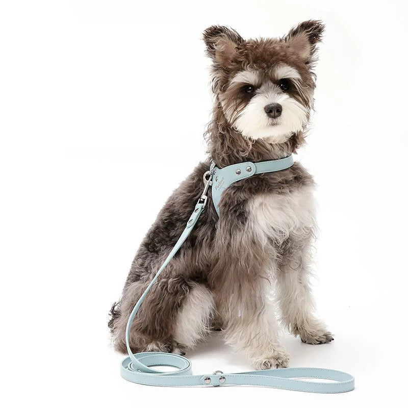 Sele för hund
