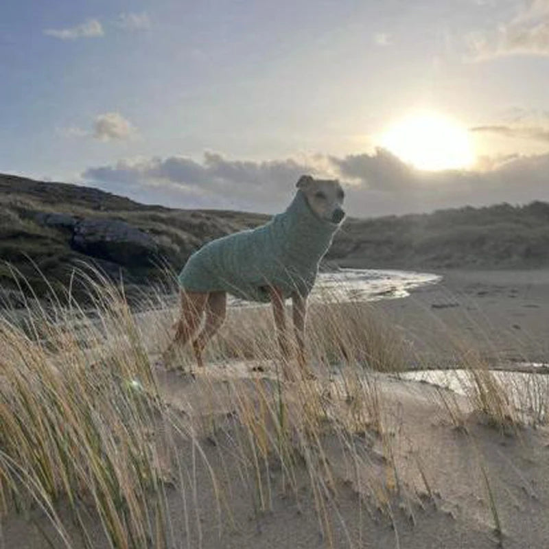 Fleecetäcke för hund