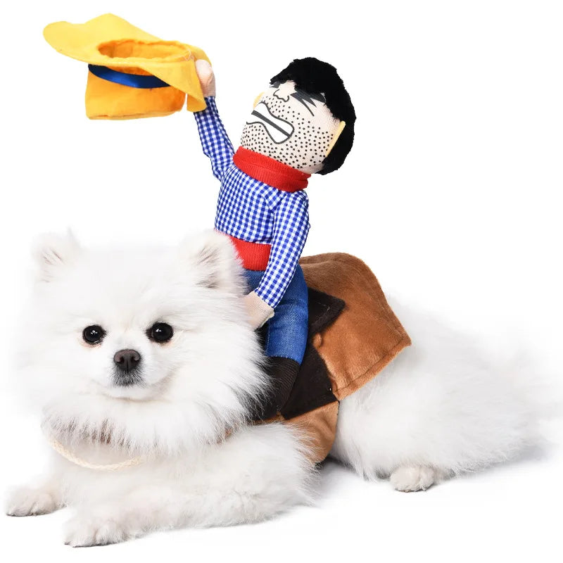 Halloween kostym för hund