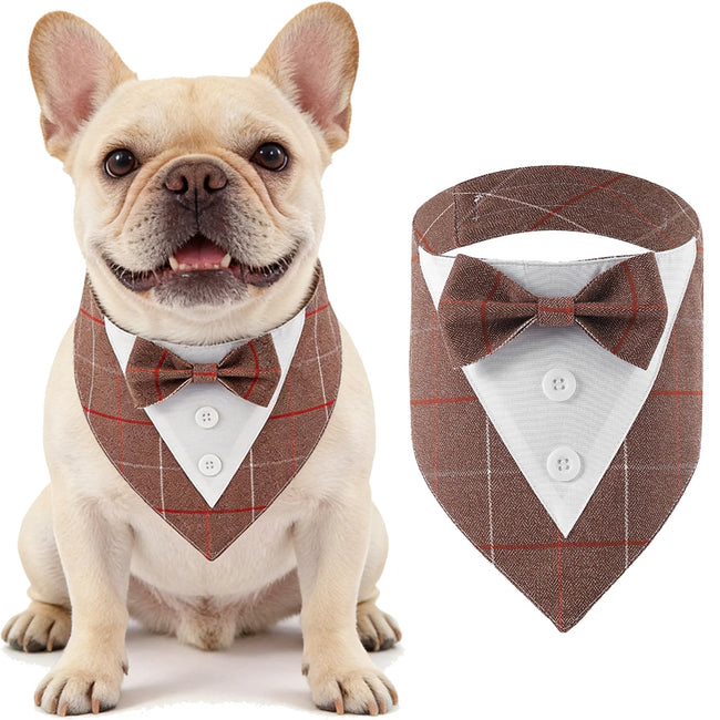 Fluga på krage för hund