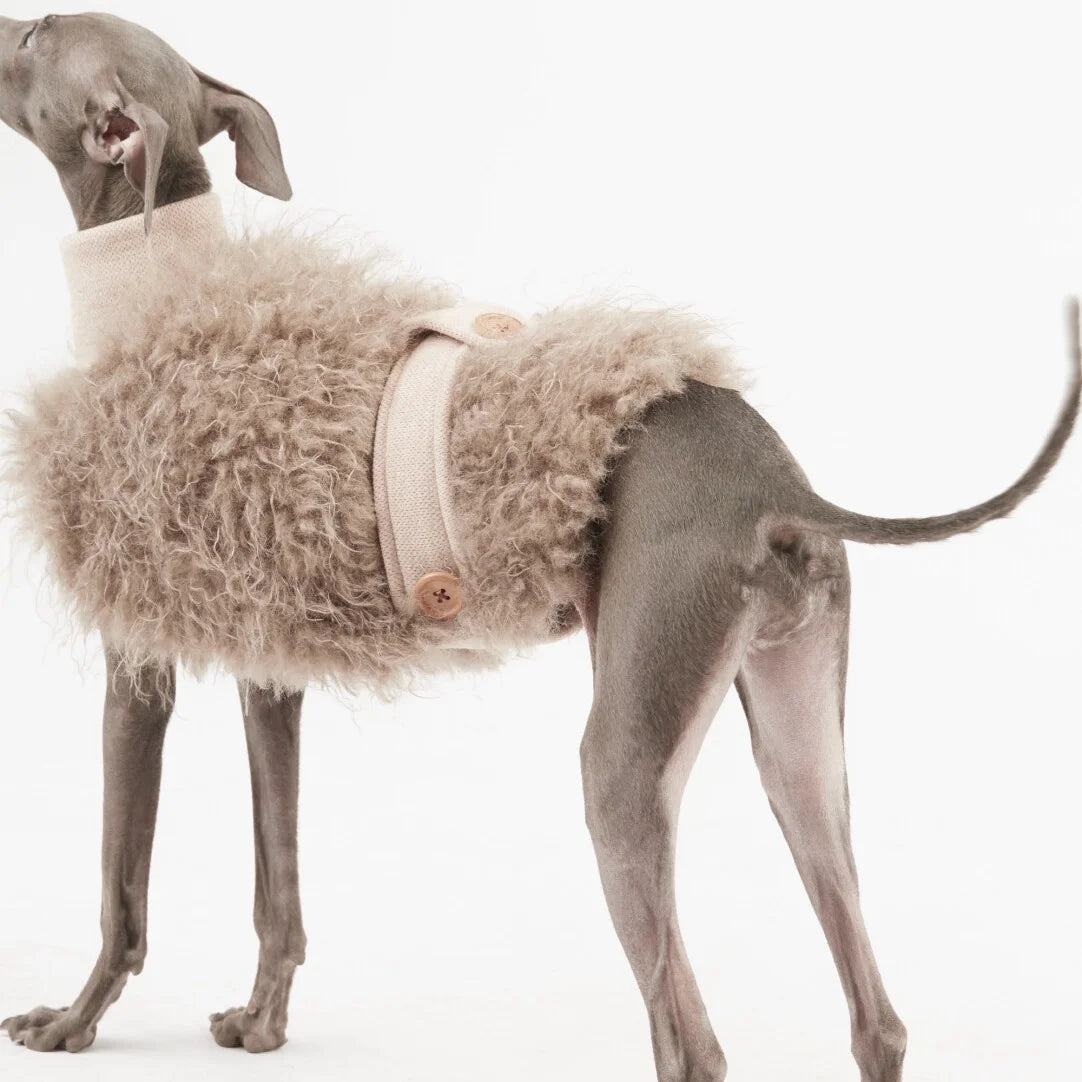 Pälströja för hund