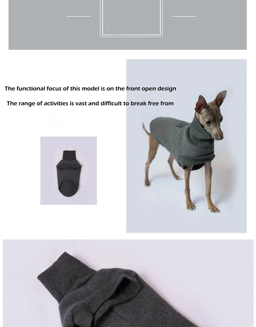 Polotröja för hund