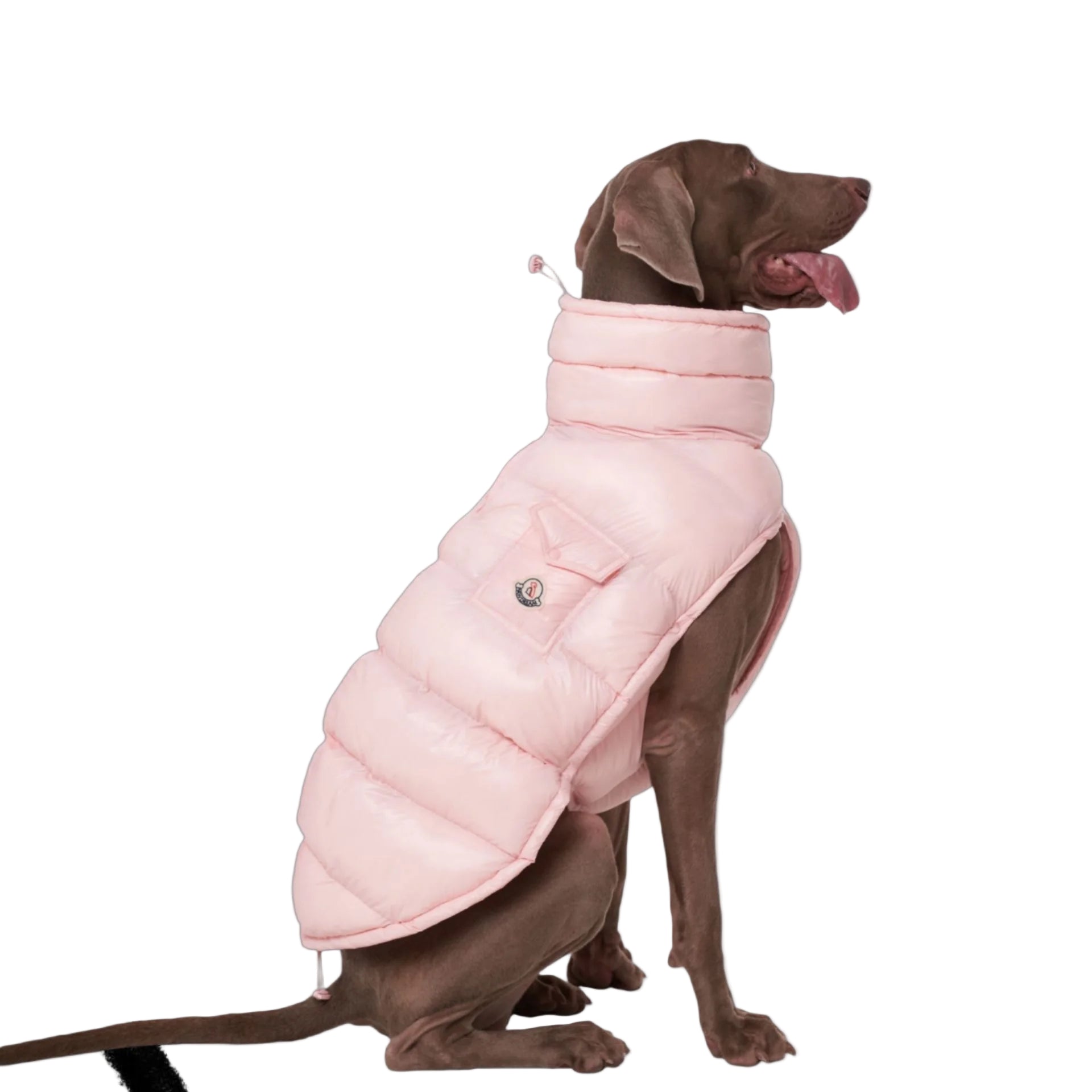 Täckväst för hund
