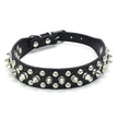 Hundhalsband med spikes