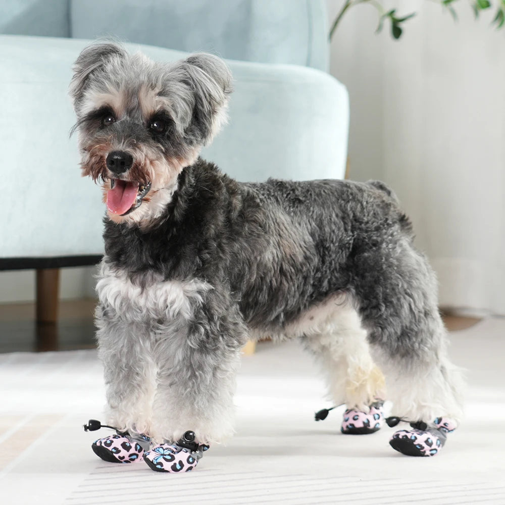 Leopardmönstrade vinterskor för hund