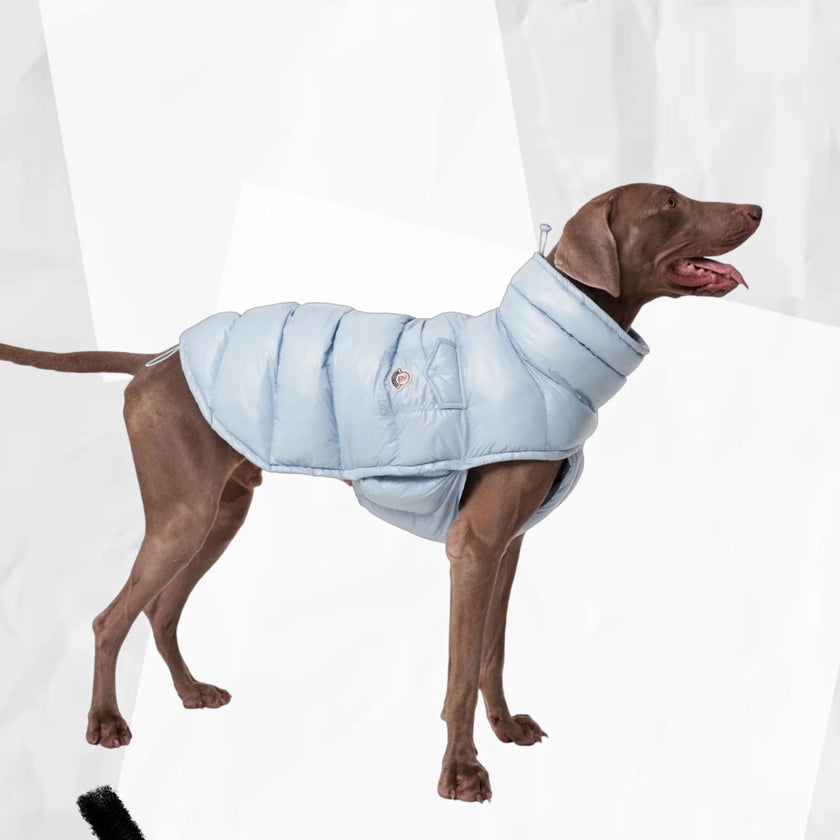 Täckväst för hund
