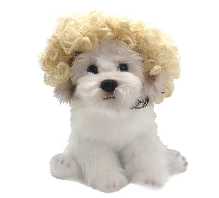 Peruk för hund